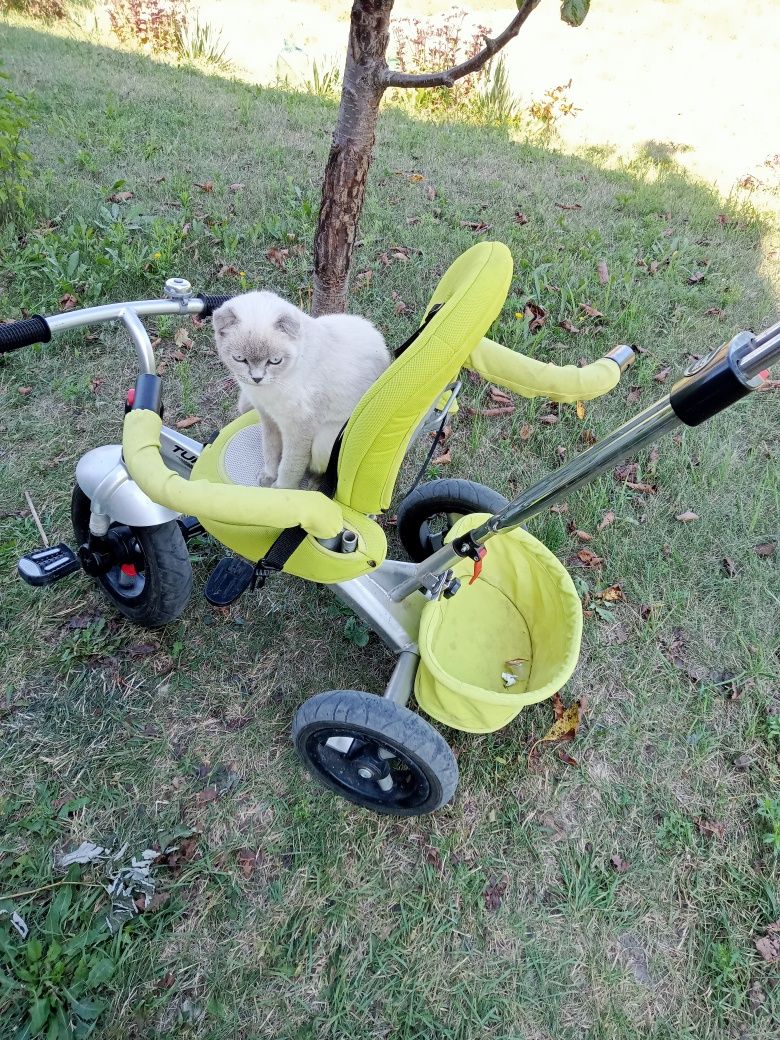 Turbo trike запчасти.