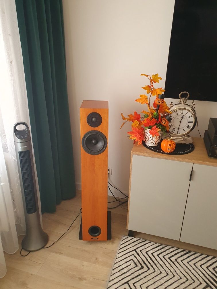 Audio Physic tempo2
