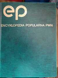 Encyklopedia PWN rok 1982