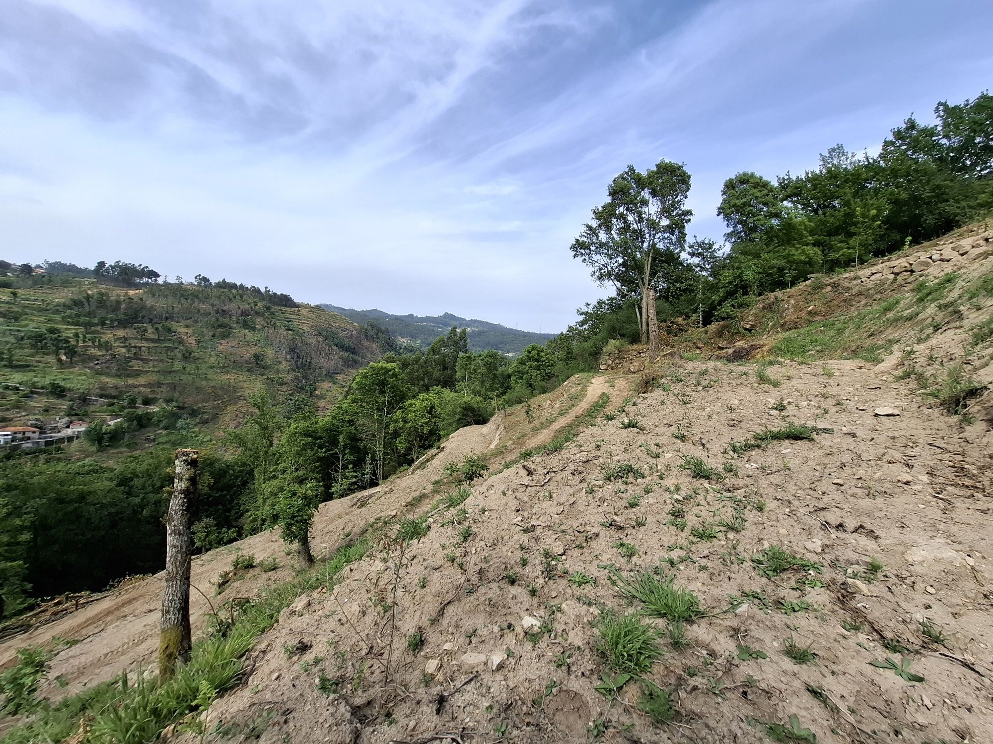 Ruína de moinho, ribeiros, nascente e vista Douro - 3.860m² em Cinfães