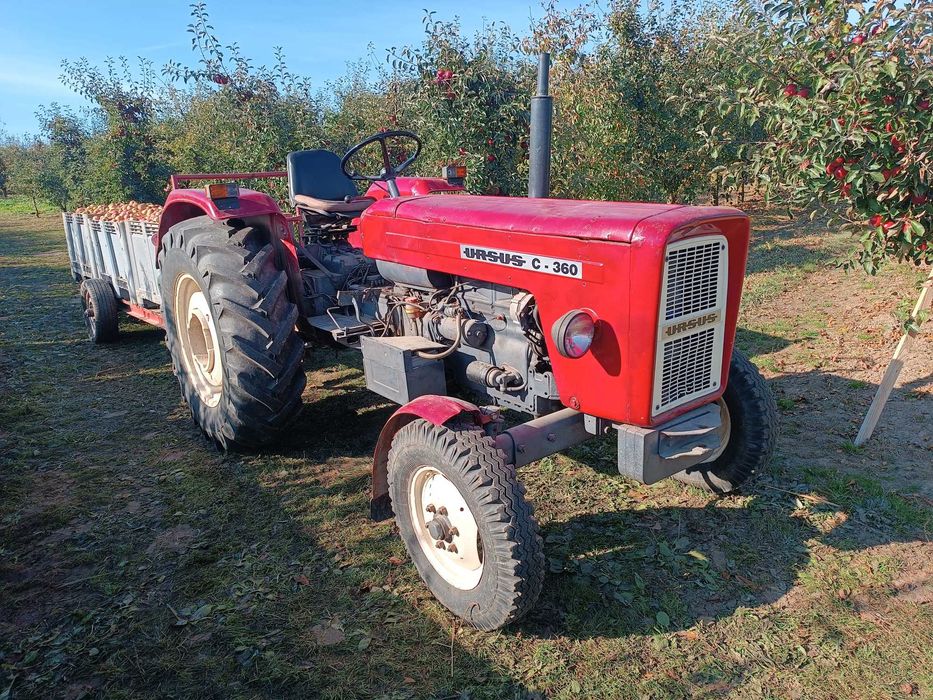 Ursus c-360 od rolnika. MF sadowniczy.