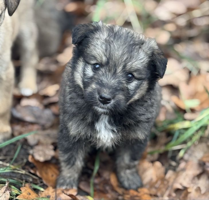 Хлопчик, 2,5 місяця