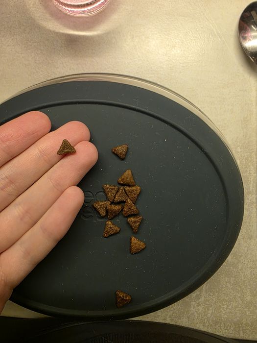 Acana kitten first feast cat корм для кошенят 340 гр

KITTEN

FIRST FE