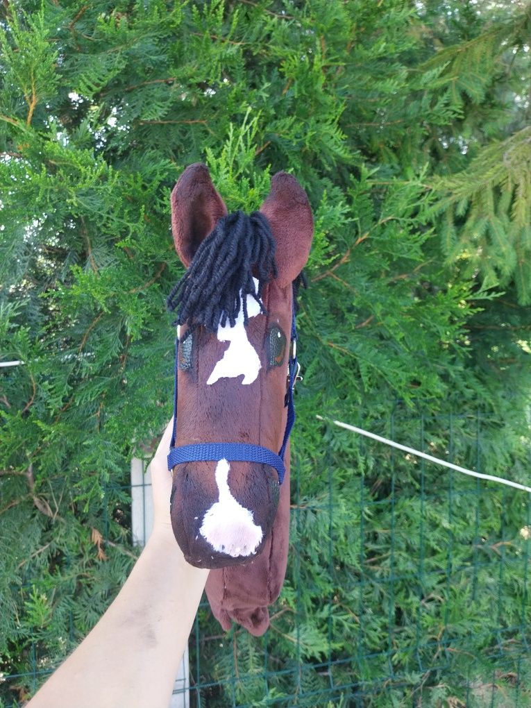 Hobby horse skokowy