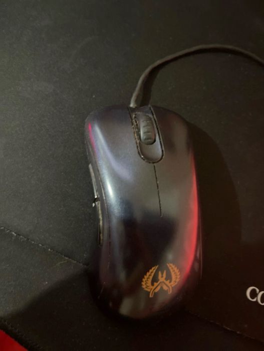 Zowie Ec1 CS GO