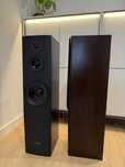 Pylon Audio Sapphire 31 - Wenge