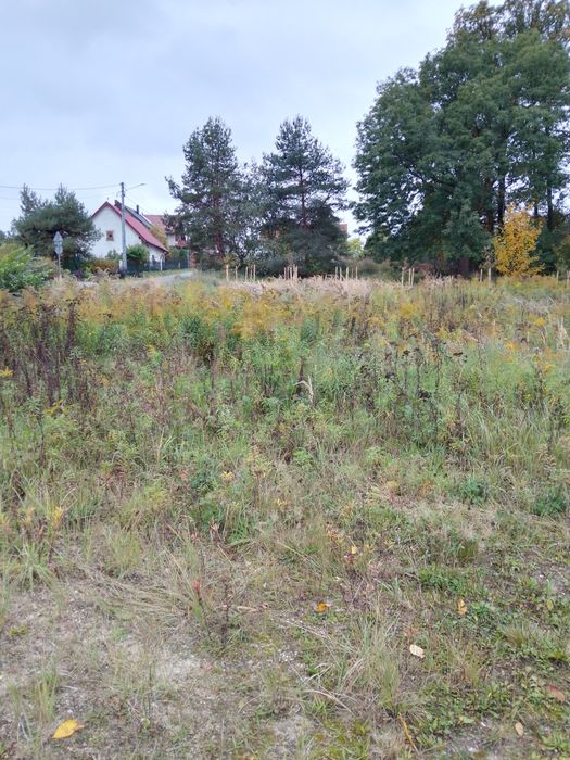 Sprzedam działkę budowlaną