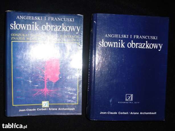 ANGIELSKI I FRANCUSKI - slownik obrazkowy