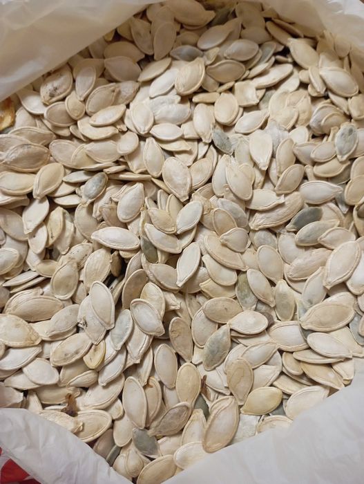 насіння гарбузове