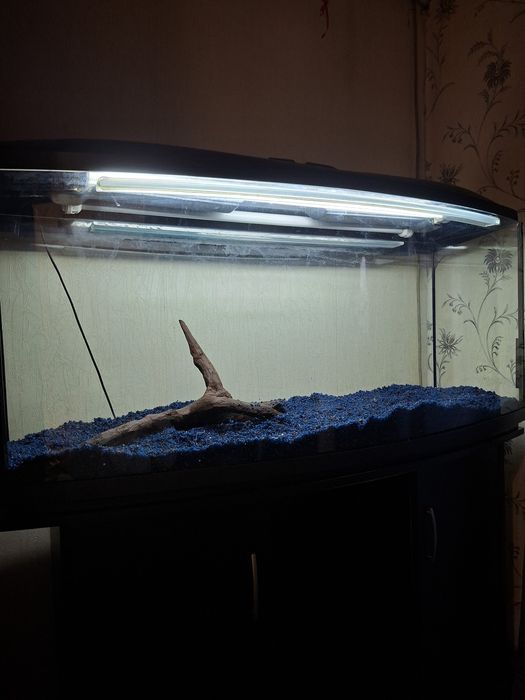 Овальний Акваріум