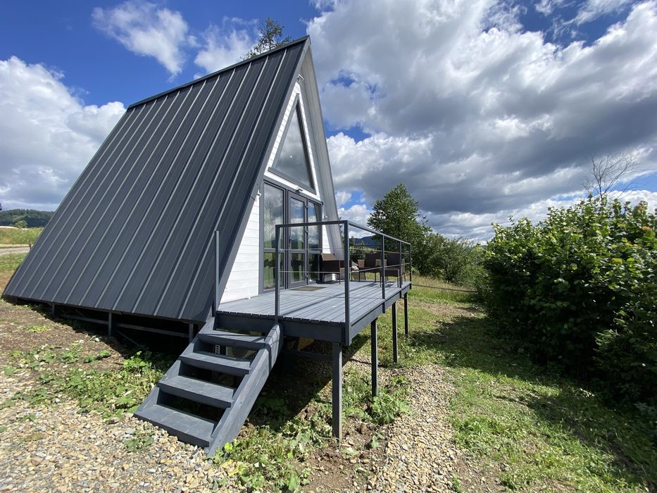 Оренда котеджу в Карпатах