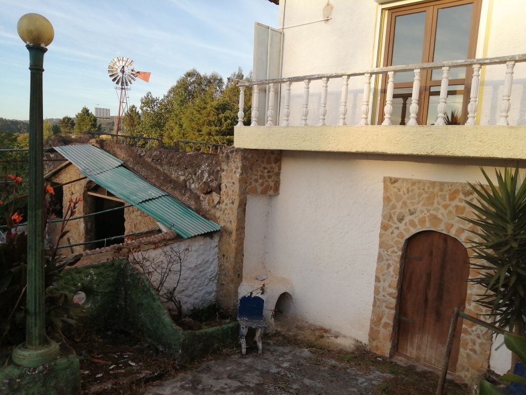 Terreno rústico com lagar e adega, por apartamento com vista de mar.