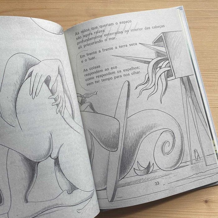 Cruzeiro Seixas - Eu Falo em Chamas