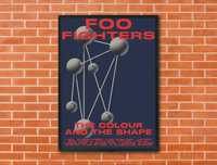 Plakat Foo Fighters - The Colour and the Shape