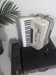 Acordeon eletrónico solton