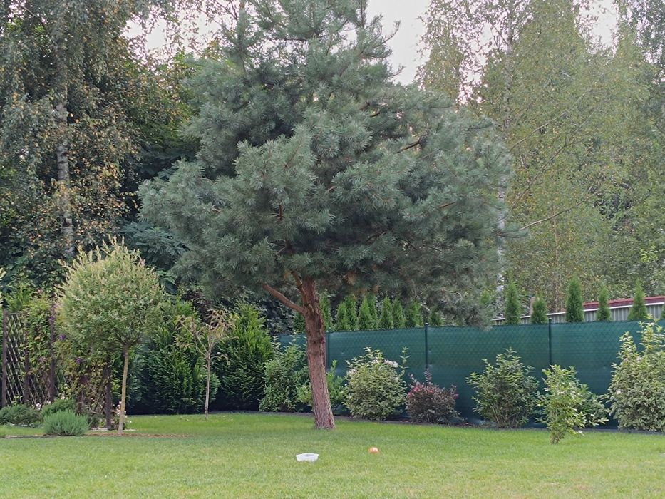 Domek letniskowy z piękną działką