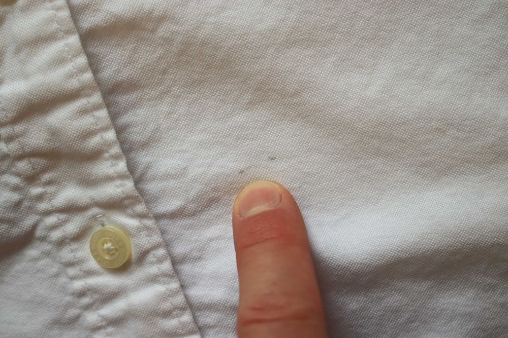 Koszula Lyle and Scott r. XS biała damska dł. rękaw bawełniana