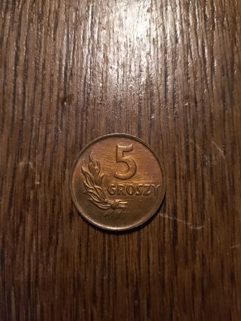 Moneta 5 groszy z 1949 roku, Rzeczpospolita Polska