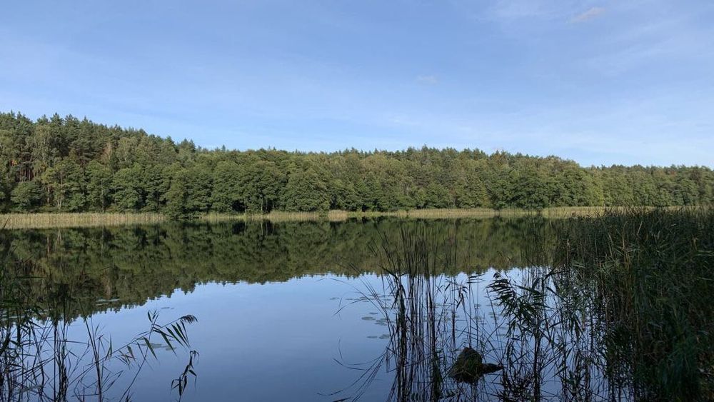 Działka rekreacyjna