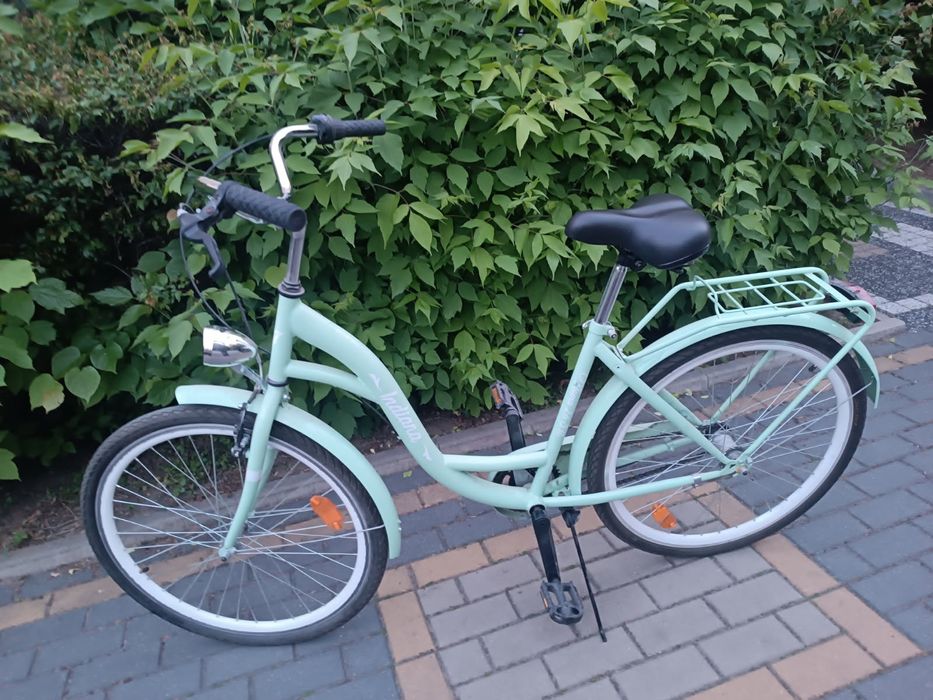 Rower miejski indiana city line