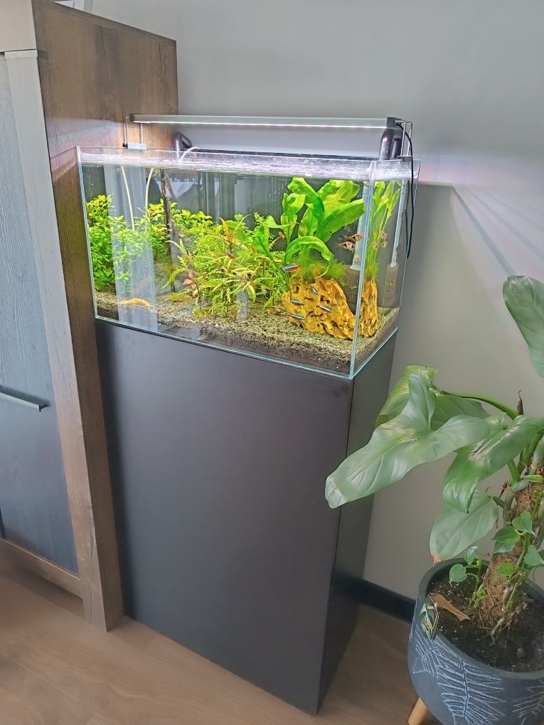 Akwarium 60l ze wszystkim plus szafka