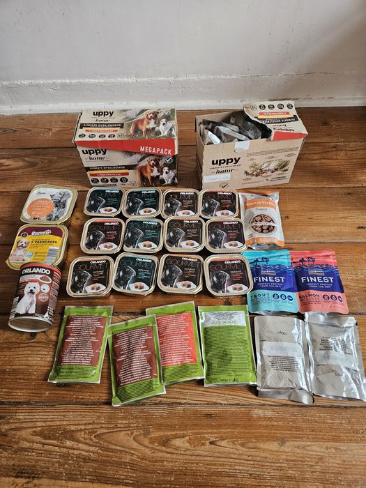 Conjunto de comida húmida para cão