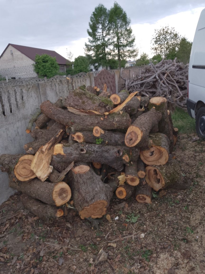 Drewno SOSNA LIPA JABLON Grusza owocowe ORZECH kominkowe opałowe