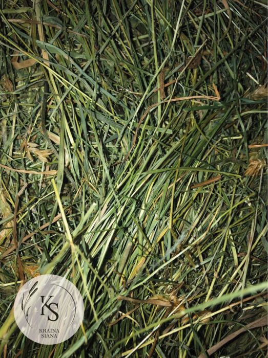 2kg-Sianko łąkowe z tymotką dla świnek morskich-Kraina Siana