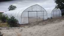 tunel foliowy, tunele foliowe , konstrukcja tunel 7 x 30 x 3,30