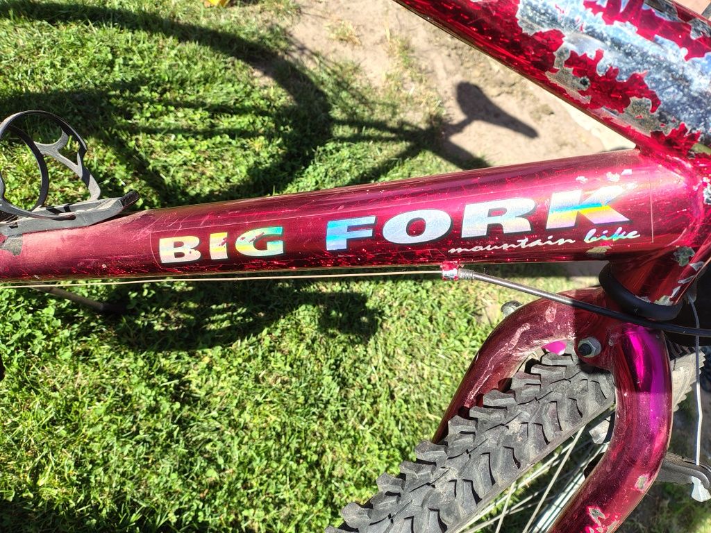 Rower MTB Big Fork