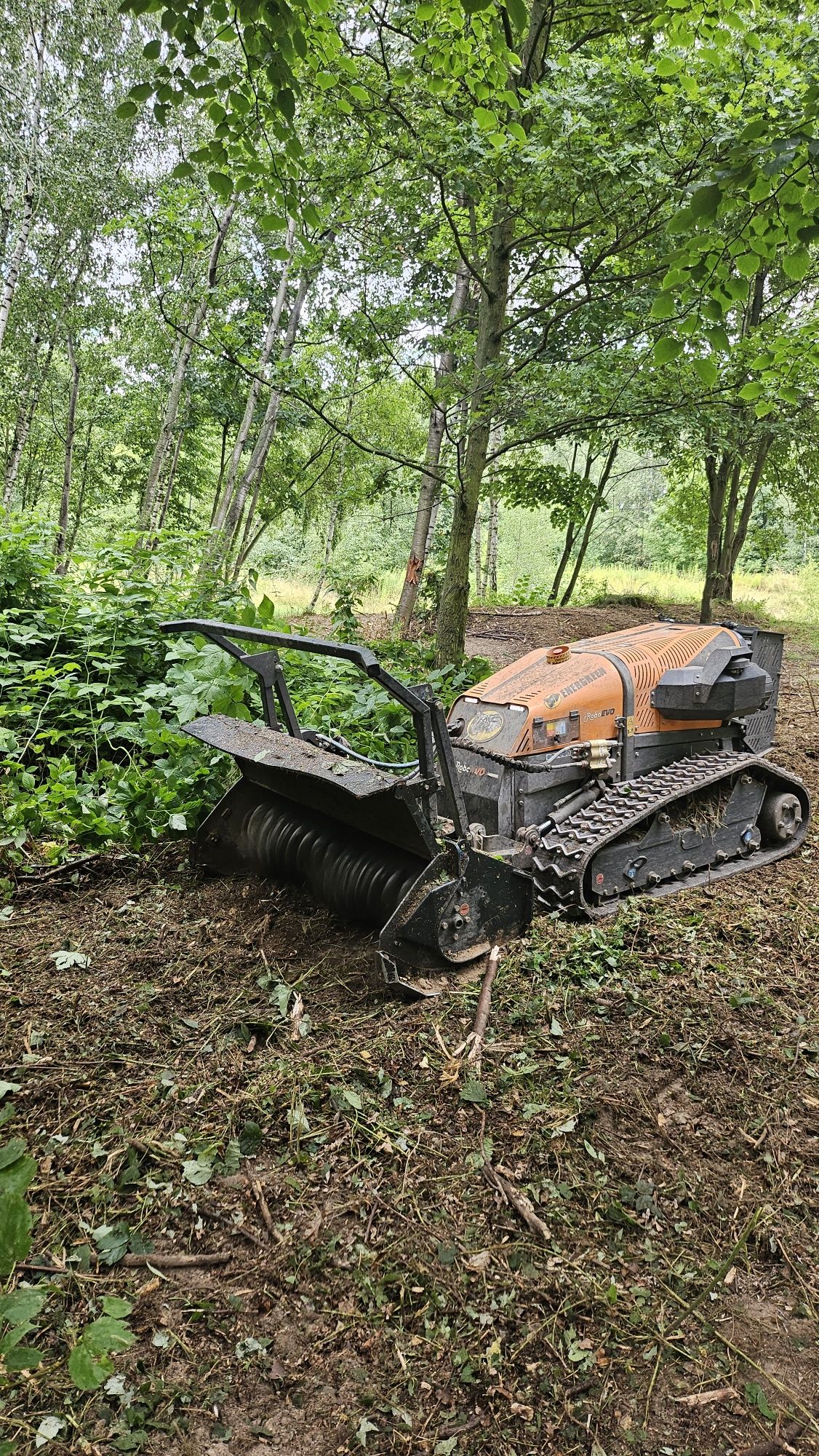 Mulczer ,wycinanie drzew,krzewów