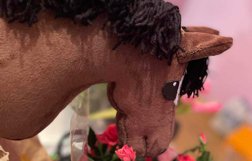 Hobby horse z akcesoriami