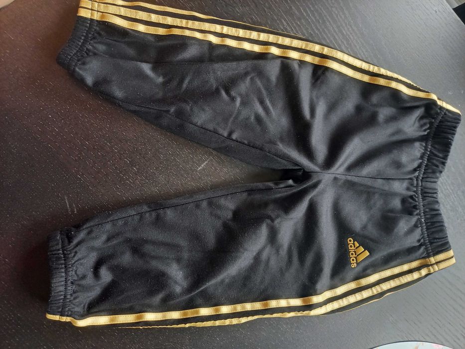Spodnie adidas 24 msc