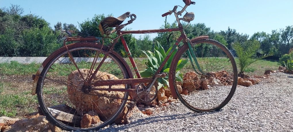 Bicicleta antiga Ye-Ye para restauro ou decoração de jardim