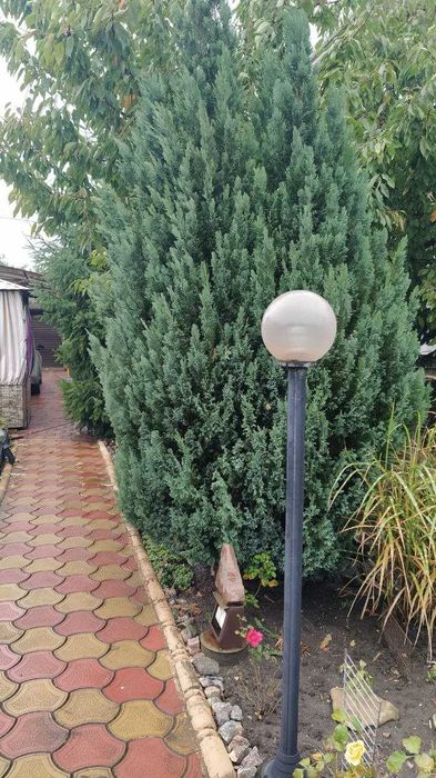 Продам дом с.Светлое, СТ"Свитанок", новые дачи,