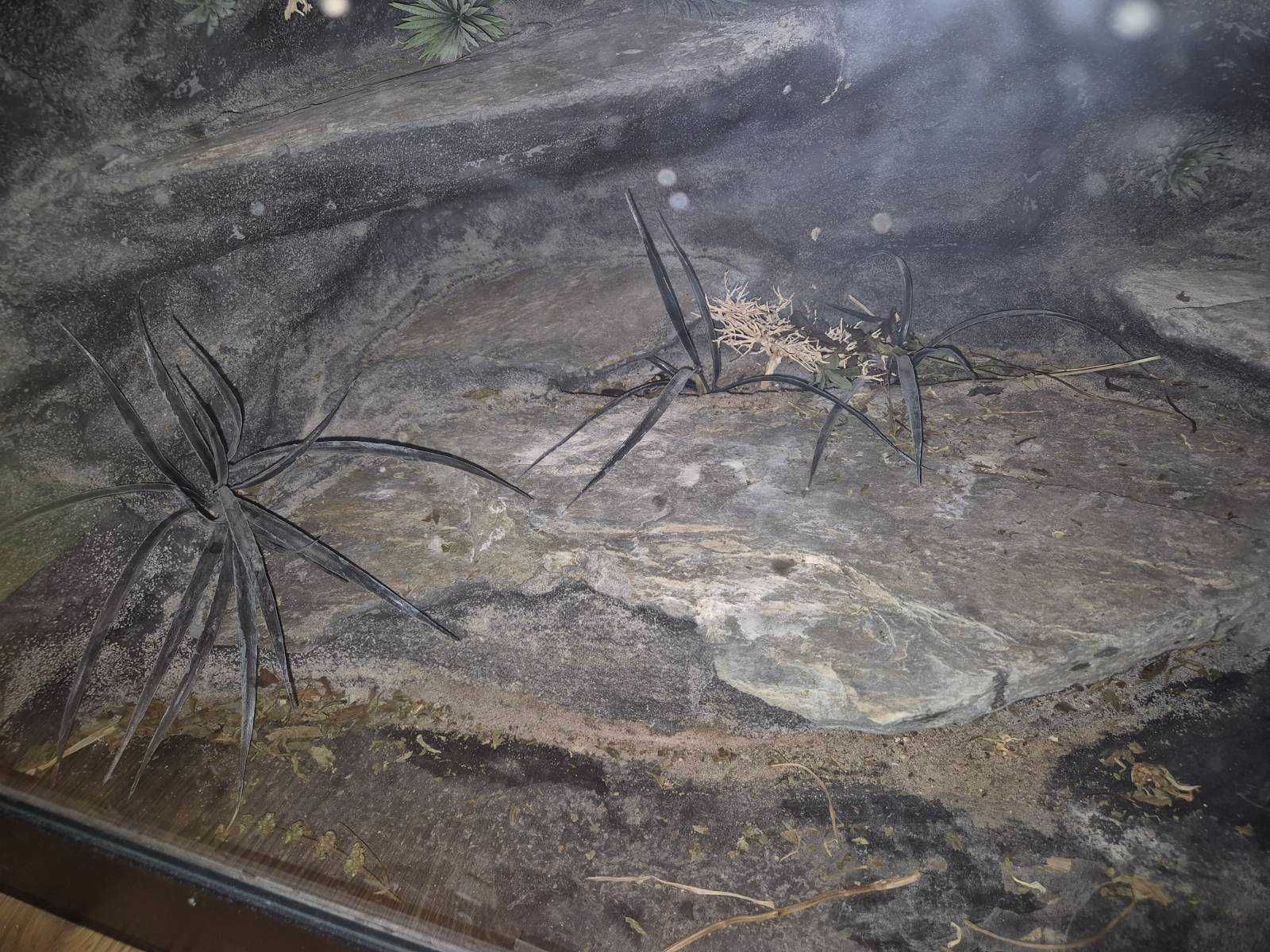 Sprzedam Terarium