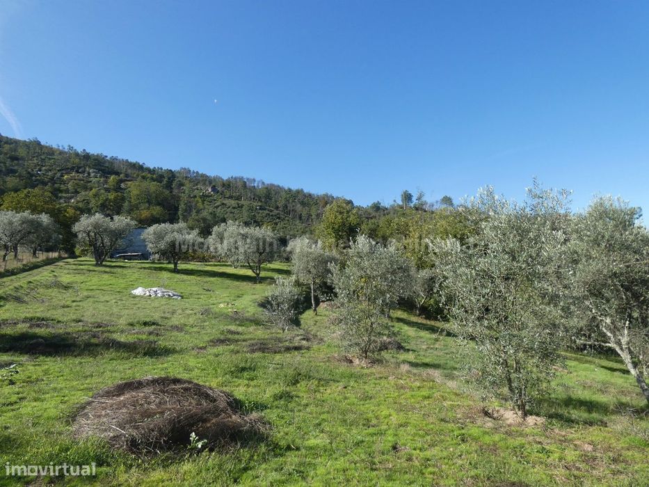 Quinta  Venda em Sandomil,Seia