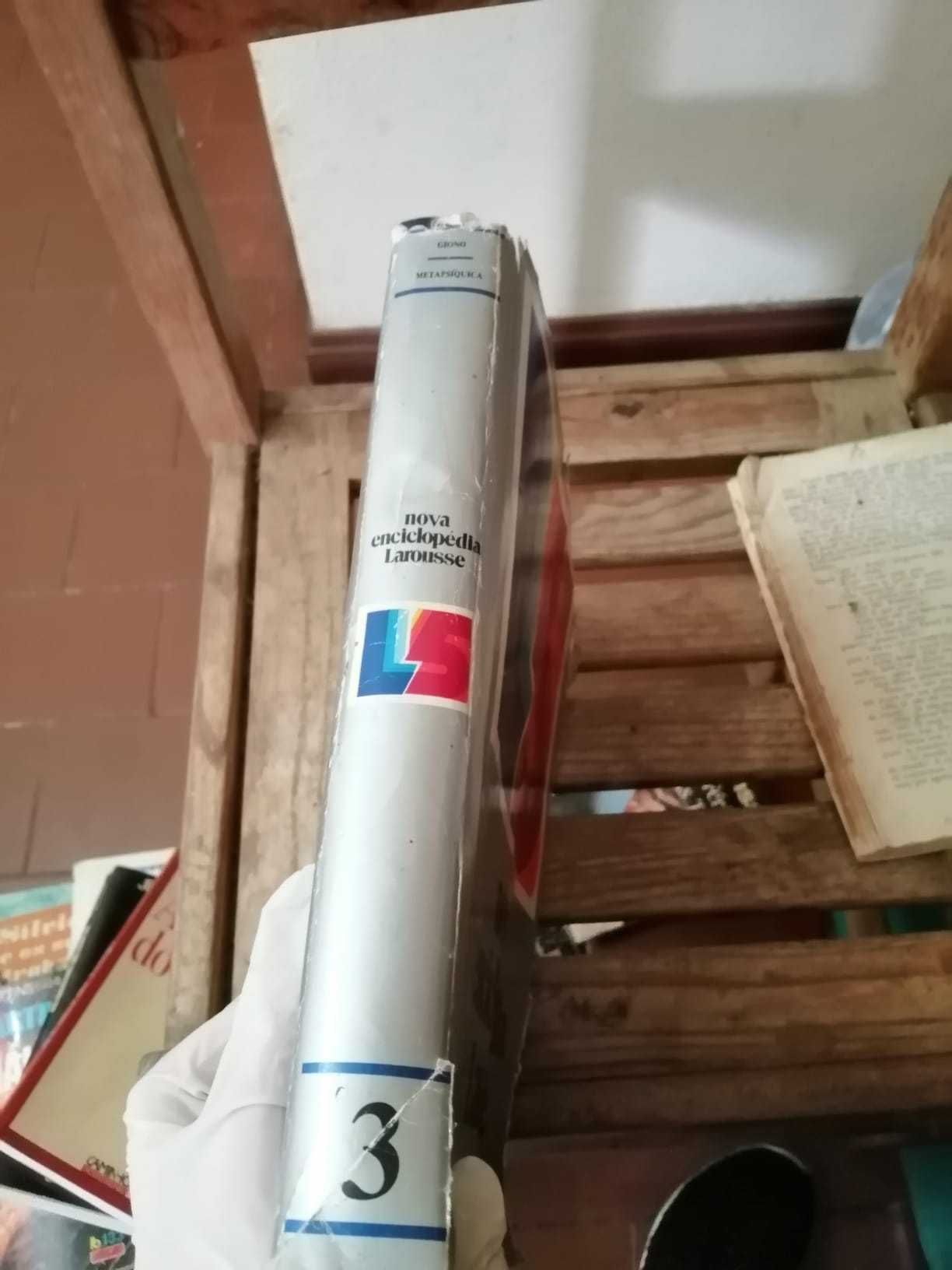 livro nova enciclopedia larousse 3
