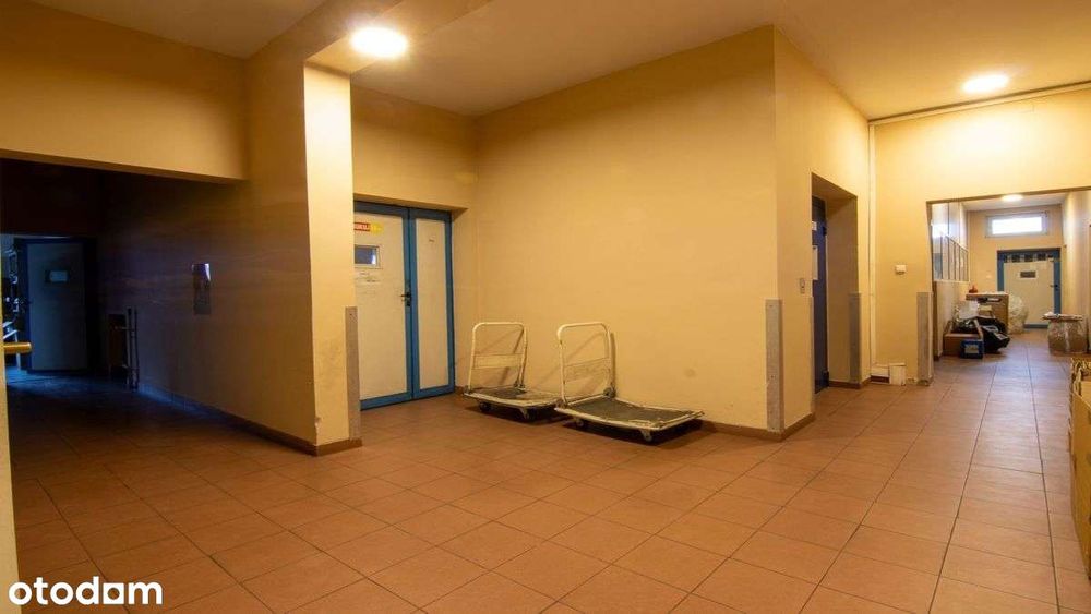 Warsztat Magazyn Produkcja Biura 130m2 Piwnica Poznań Dąbrowskiego