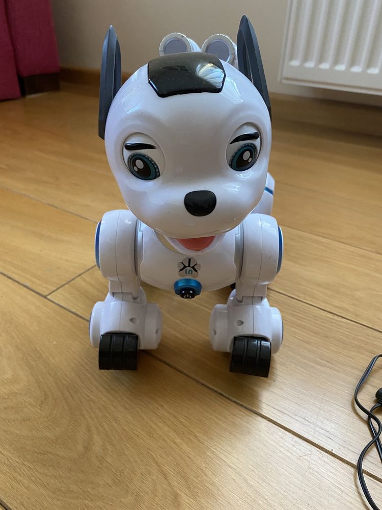 Robot Interaktywny Pies Zdalnie Sterowany Programowanie