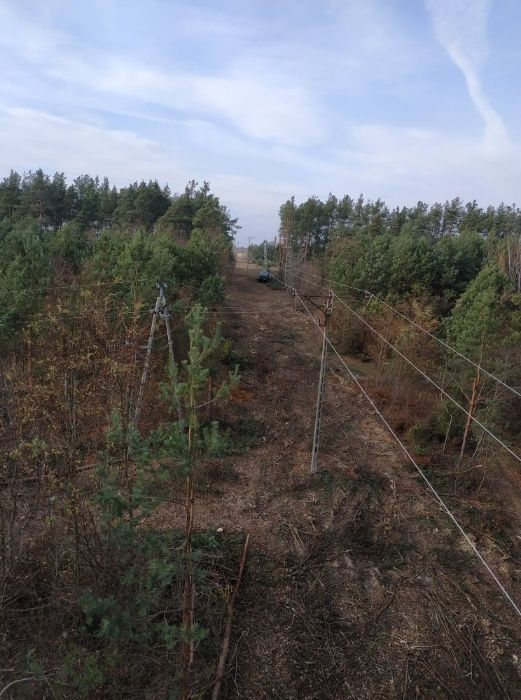WYCINKA / Pielęgnacja Drzew TRUDNYCH metodą Alpinistyczną ( zwyżka )