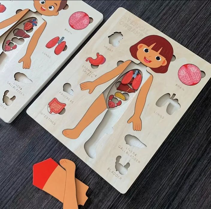 Пазл дерев'яний - Анатомія людини