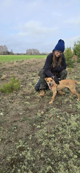 Malutki Kuśko ,szuka domu.