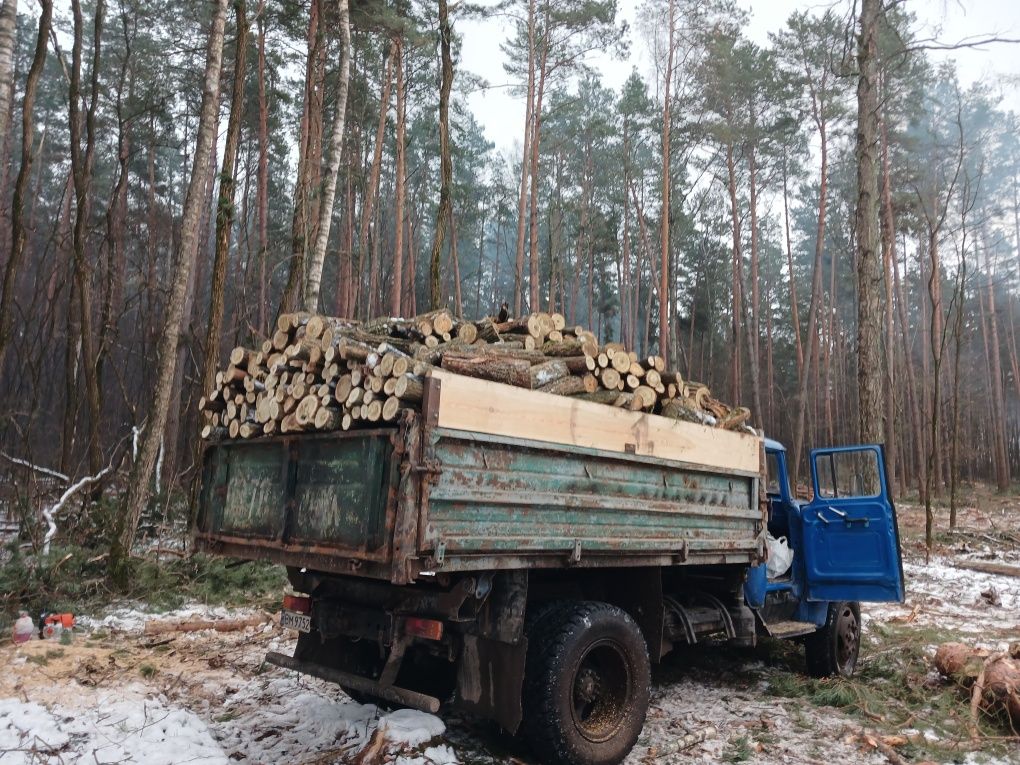 Дрова різних порід.