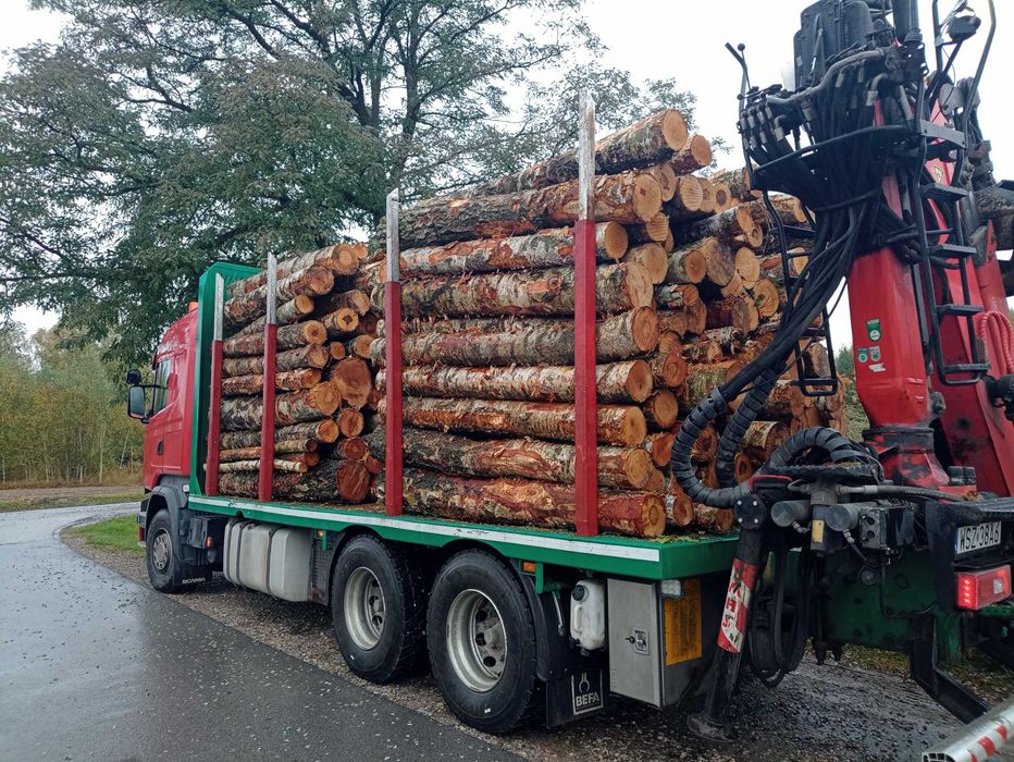 Drewno Kominkowe Opałowe ilości Cało Tirowe