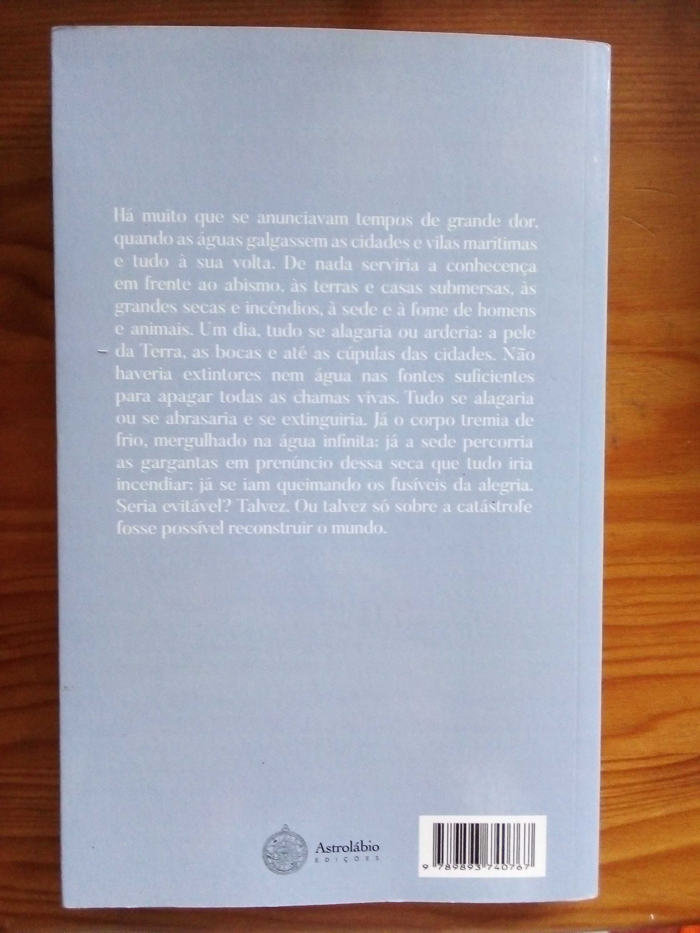 Um Sinuoso Modo de Correr - Isabel Pereira Rosa
