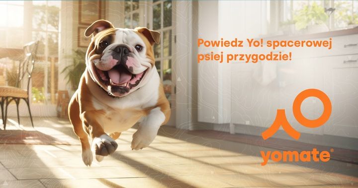 Pies Do 25 Kg - Poręczna Automatyczna Smycz Dla Psa / Mocna Zwijana Ta