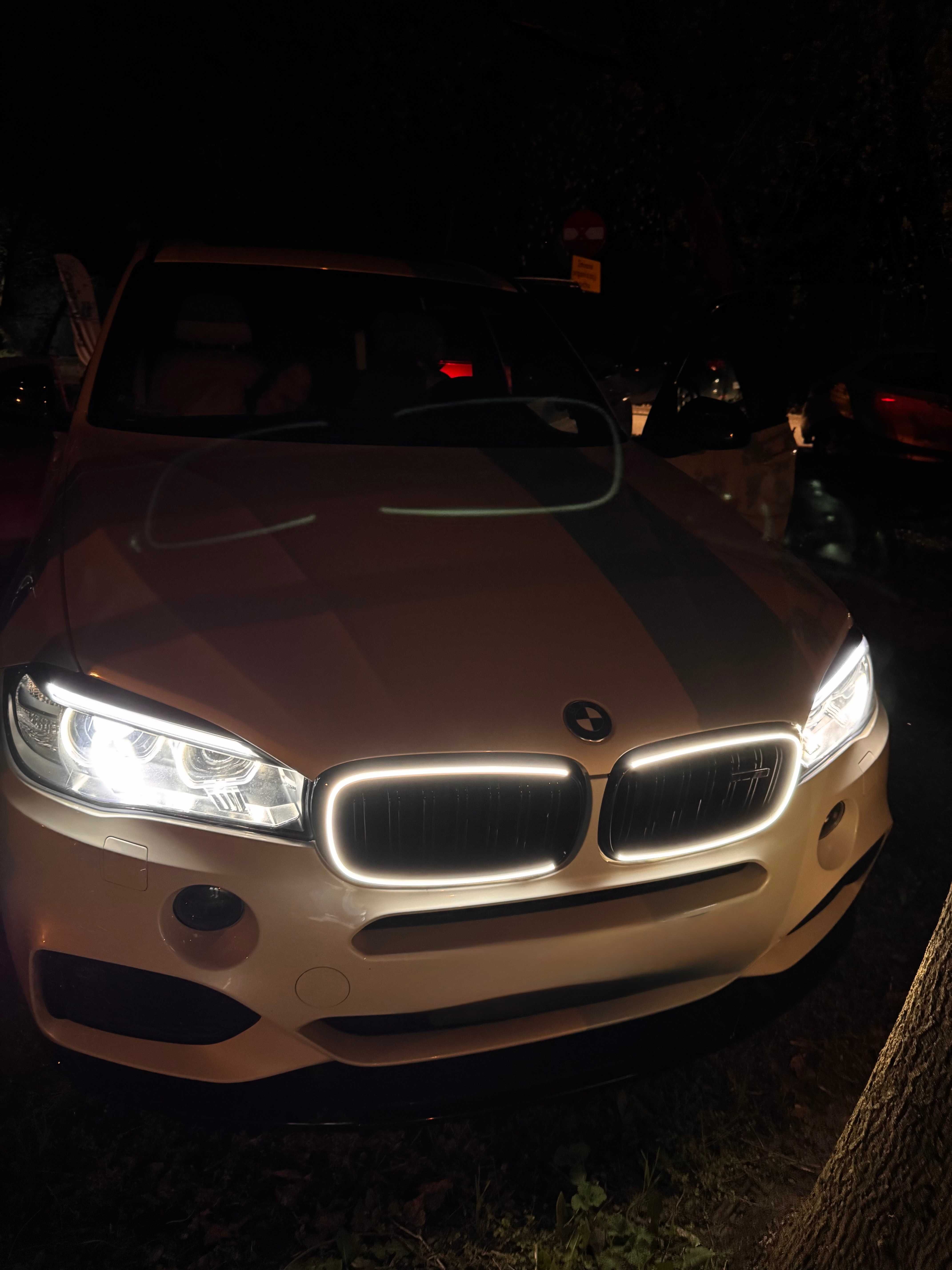 Atrapa LED światło Nerki Grill Kratka Połysk Czarna do BMW X5 F15 X6