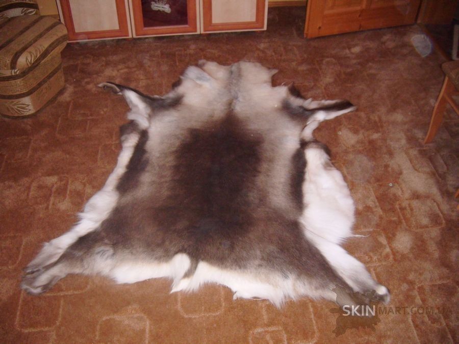 Олень, шкура з оленя, шкура диких тварин