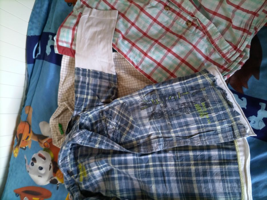 Camisas de menino 5/6 anos